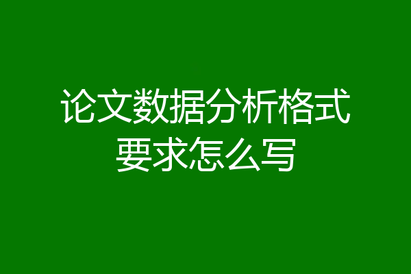 论文数据分析格式要求怎么写