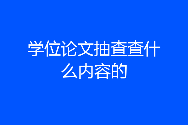 学位论文抽查查什么内容的