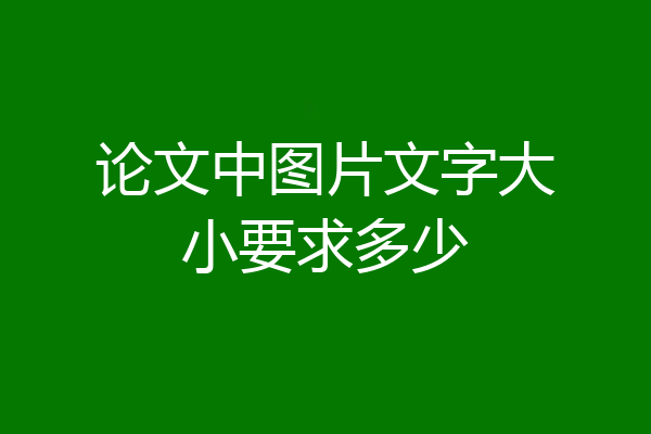 论文中图片文字大小要求多少