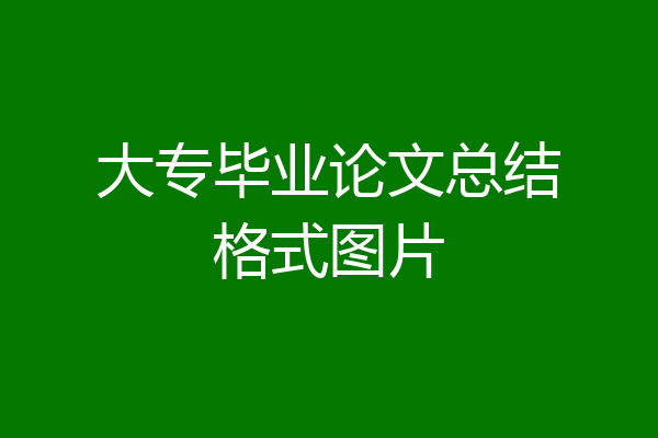大专毕业论文总结格式图片