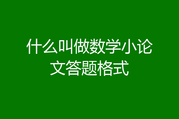 什么叫做数学小论文答题格式