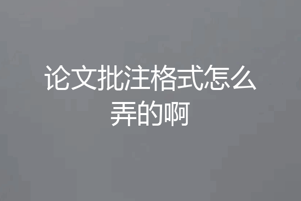 论文批注格式怎么弄的啊