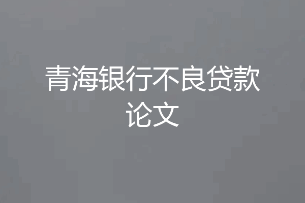 青海银行不良贷款论文