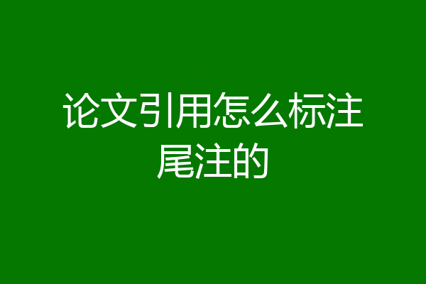 论文引用怎么标注尾注的