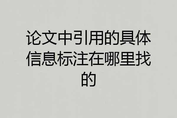 论文中引用的具体信息标注在哪里找的