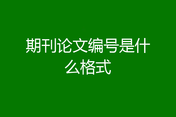 期刊论文编号是什么格式