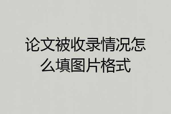 论文被收录情况怎么填图片格式