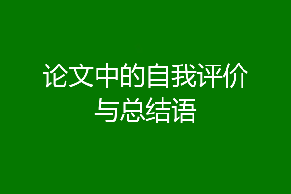 论文中的自我评价与总结语