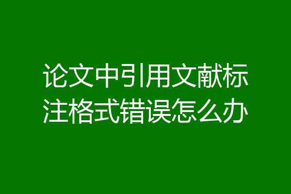 论文中引用文献标注格式错误怎么办