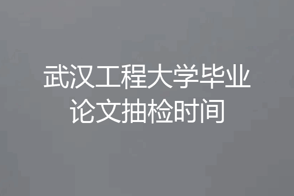 武汉工程大学毕业论文抽检时间