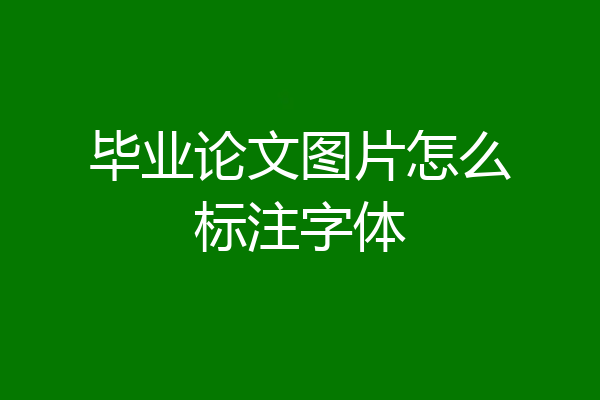毕业论文图片怎么标注字体