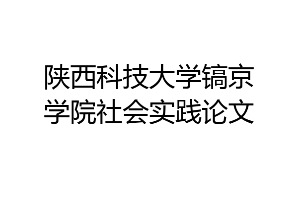 陕西科技大学镐京学院社会实践论文
