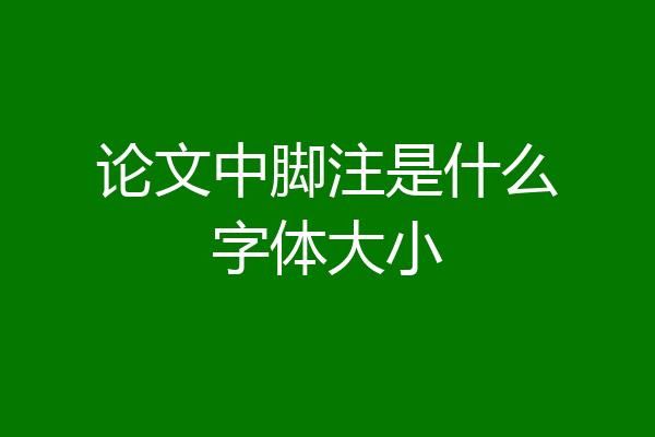 论文中脚注是什么字体大小