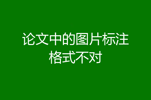 论文中的图片标注格式不对