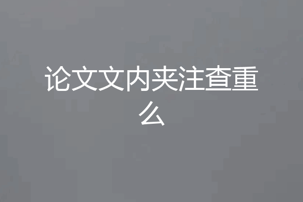 论文文内夹注查重么