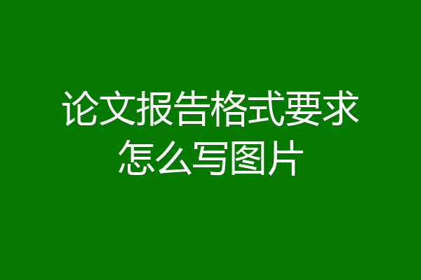 论文报告格式要求怎么写图片