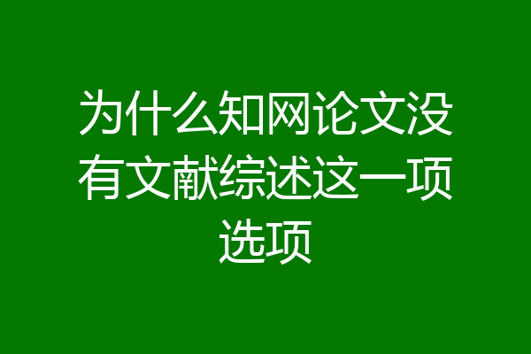 为什么知网论文没有文献综述这一项选项