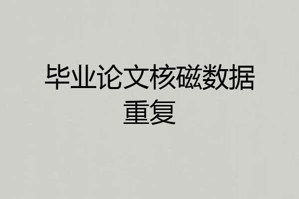 毕业论文核磁数据重复