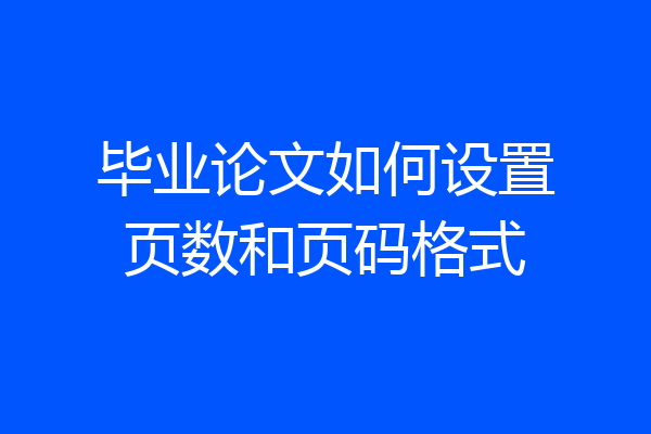 毕业论文如何设置页数和页码格式