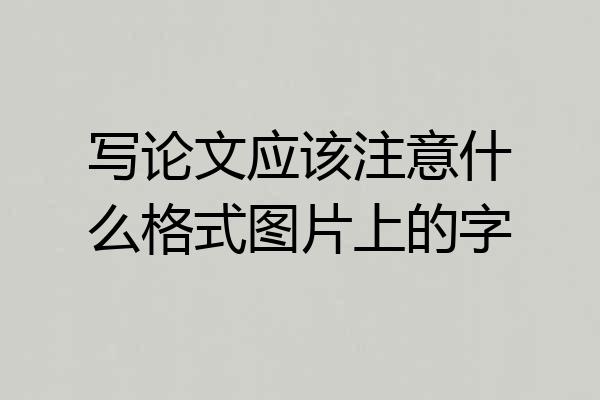 写论文应该注意什么格式图片上的字