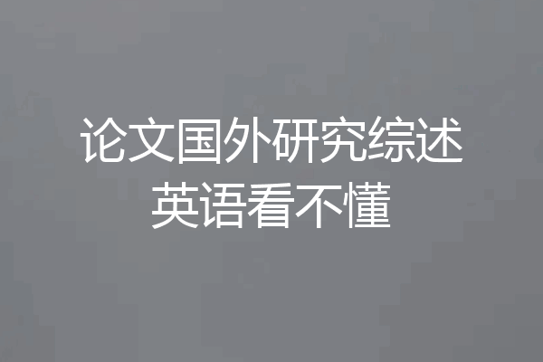 论文国外研究综述英语看不懂