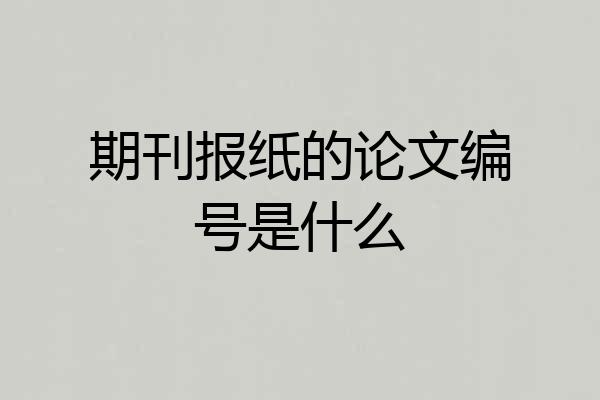 期刊报纸的论文编号是什么