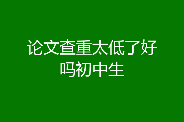 论文查重太低了好吗初中生