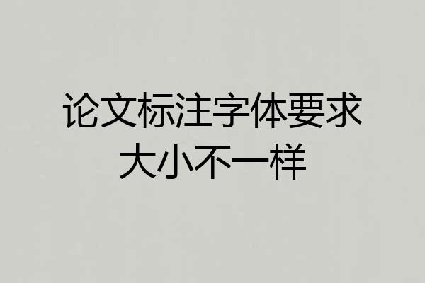 论文标注字体要求大小不一样