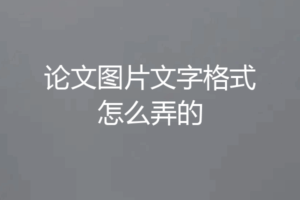论文图片文字格式怎么弄的