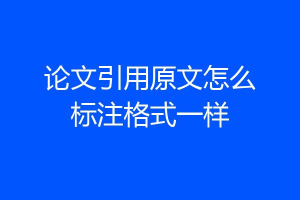 论文引用原文怎么标注格式一样