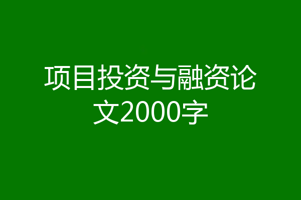 项目投资与融资论文2000字