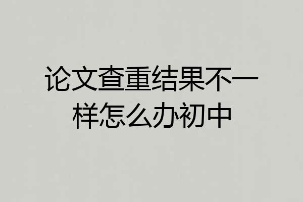 论文查重结果不一样怎么办初中