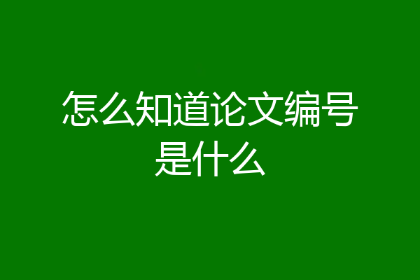 怎么知道论文编号是什么