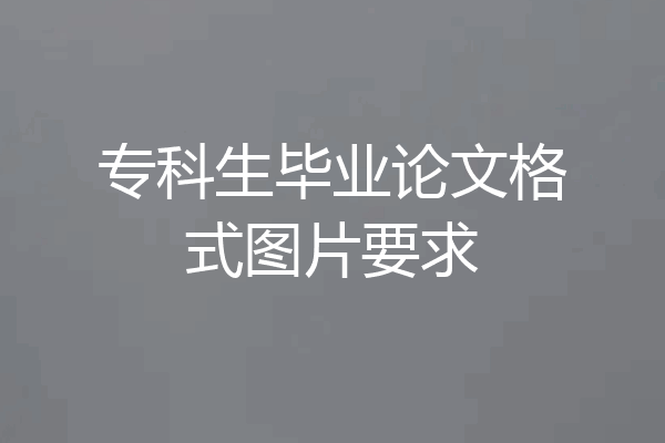 专科生毕业论文格式图片要求