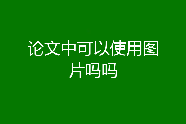 论文中可以使用图片吗吗