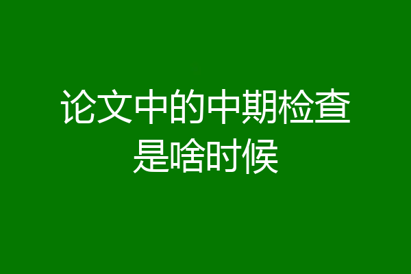 论文中的中期检查是啥时候