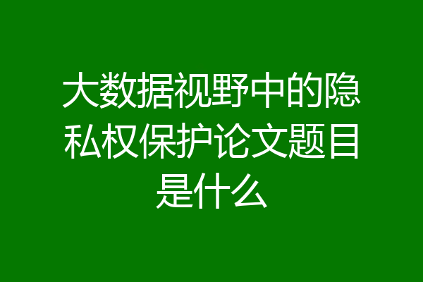 大数据视野中的隐私权保护论文题目是什么