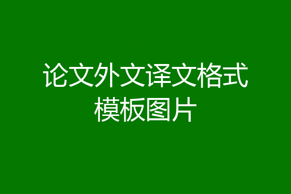论文外文译文格式模板图片