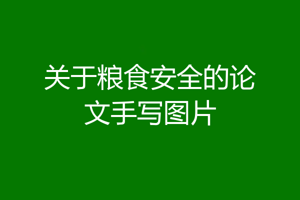 关于粮食安全的论文手写图片