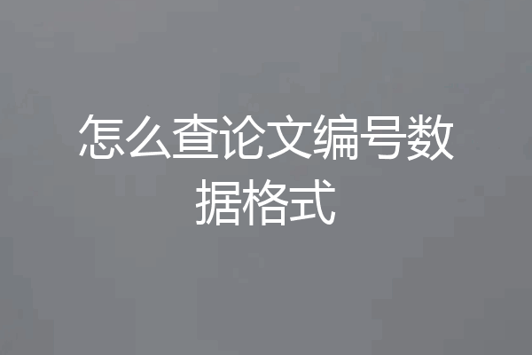 怎么查论文编号数据格式