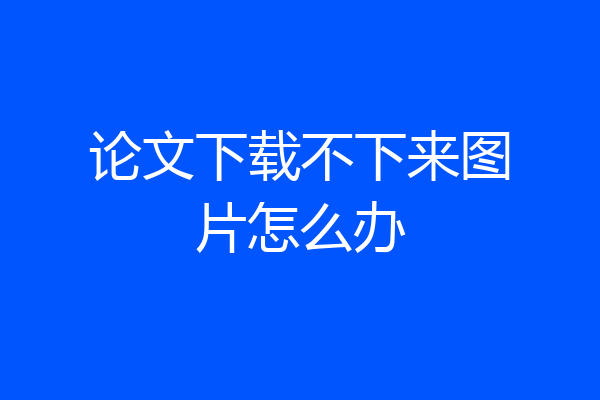论文下载不下来图片怎么办