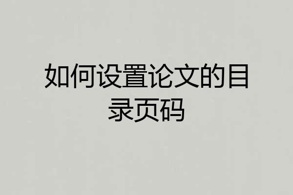 如何设置论文的目录页码