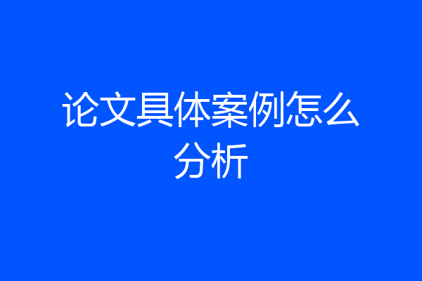 论文具体案例怎么分析