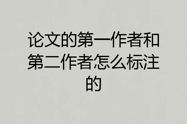 论文的第一作者和第二作者怎么标注的