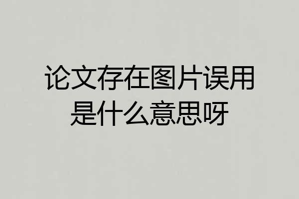 论文存在图片误用是什么意思呀