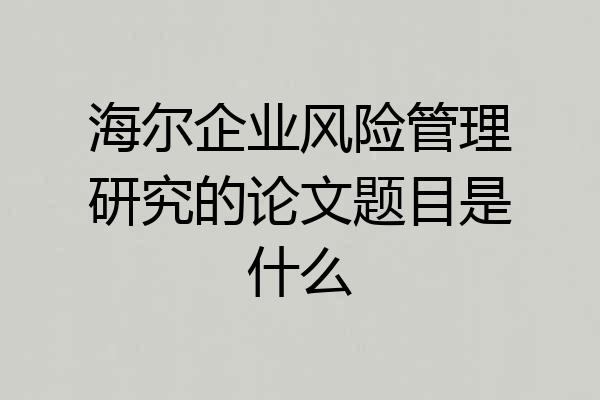 海尔企业风险管理研究的论文题目是什么