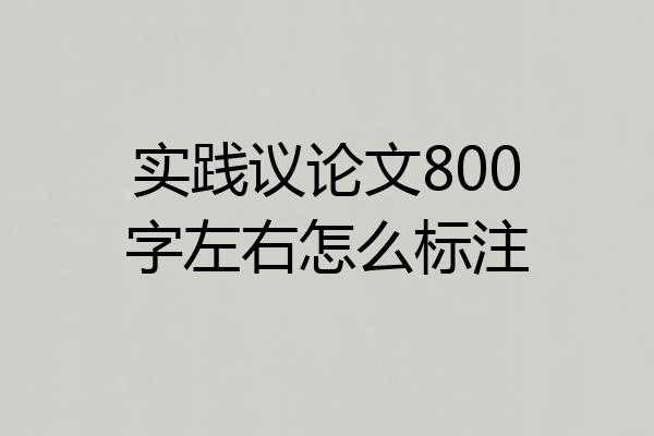 实践议论文800字左右怎么标注