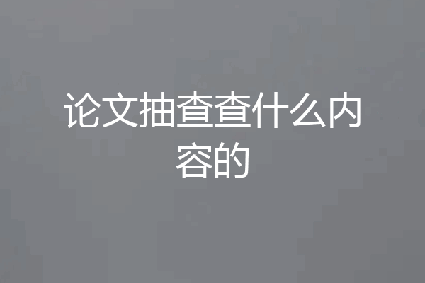 论文抽查查什么内容的