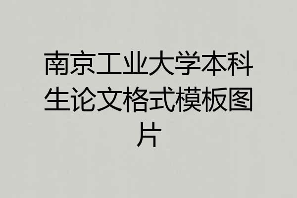 南京工业大学本科生论文格式模板图片