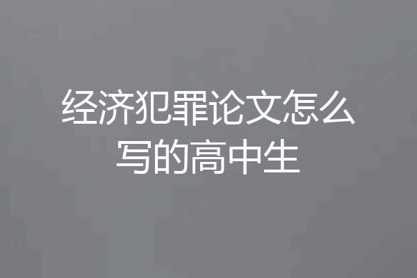 经济犯罪论文怎么写的高中生